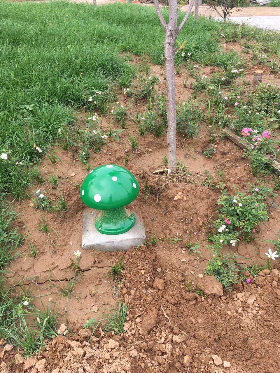 bte·365(中国)体育在线官网